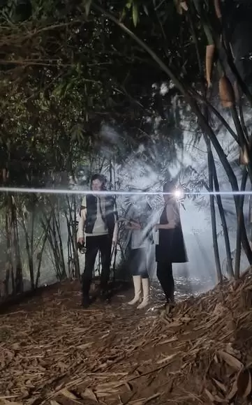 《低智商犯罪》5月4日爱奇艺开播，王骁田曦薇王传君主演 _ 细节速览