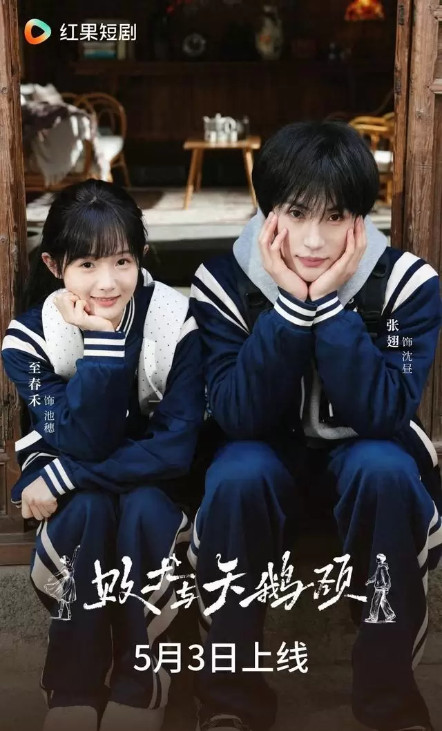 张翅与至春禾四搭新剧《败犬与天鹅颈》上线首日热度破9575万，乡村题材突围治愈向短剧新标杆 _ 相关图片